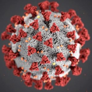 Bistumsvirus